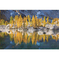 Mega Blocks Mega Brands 1011214 Vibrant 1000-Piece Puzzle - Tree Hall