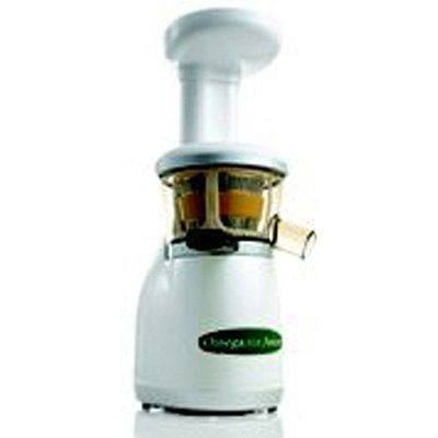 Omega Vertical Low Speed Juicer Model VRT330