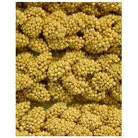 Super-dog Pet Food Company Higgins Snack Attack Spray Millet