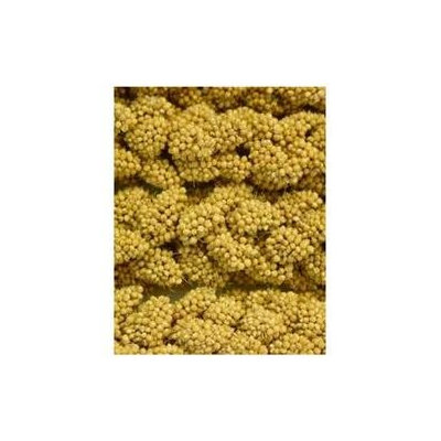 Super-dog Pet Food Company Higgins Snack Attack Spray Millet