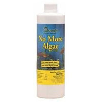 Jungle Laboratories AJUNL62016 No More Algae Liquid