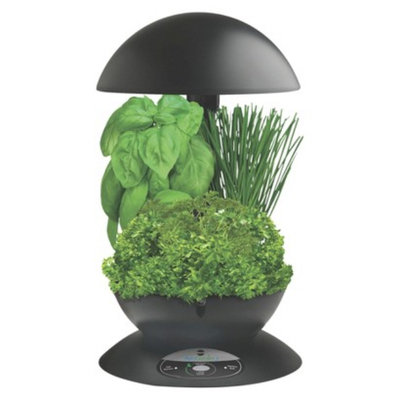 Aerogrow AeroGarden 3 with Gourmet Herb Seed Kit - Black