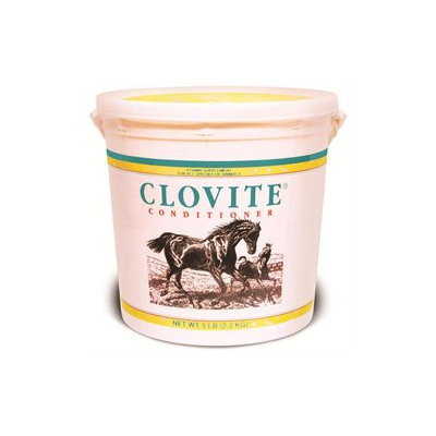 Pfizer Equine - Clovite Vitamin Supplement 5 Pound - 2185-1352333
