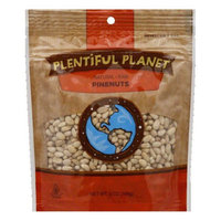 Plentiful Planet Nut Pine Raw Bag (Pack Of 6)