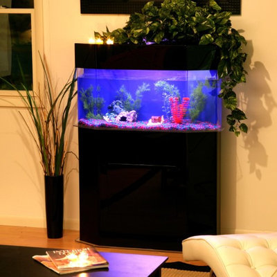 Advance Aqua Tanks Acrylic Pentagon Aquarium Stand, Size: 24L x 24W x 30H inches