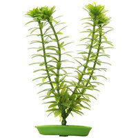 Hagen Marina Aquascaper Anacharis Plant, 5-Inch