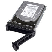 DELL Dell 7200 RPM Serial ATA Hot Plug Hard Drive - 2TB