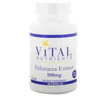 Vital Nutrient's Vital Nutrients - Echinacea Extract 500 mg. - 60 Vegetarian Capsules