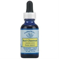 Flower Essence Red Chestnut Herbal Supplement - 1 fl oz