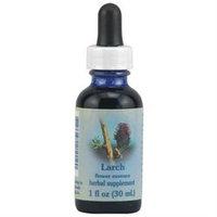 Flower Essence Larch Flower Essence Dropper - 1 fl oz