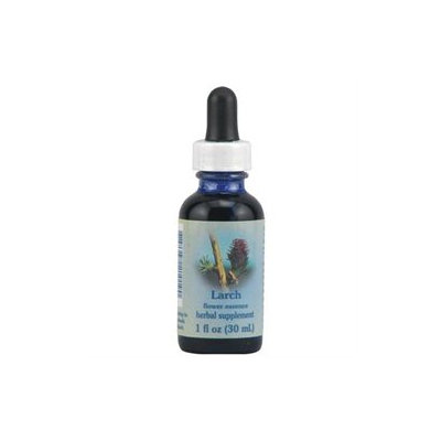 Flower Essence Larch Flower Essence Dropper - 1 fl oz