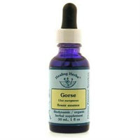 Gorse Dropper, 1 oz, Flower Essence Services
