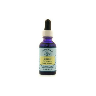 Gorse Dropper, 1 oz, Flower Essence Services