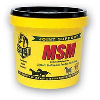 RICHDEL 974766 Select Methylsulfonylmethane Powder - 4 Pound