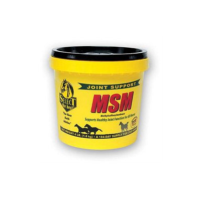 RICHDEL 974766 Select Methylsulfonylmethane Powder - 4 Pound