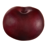 Plum Red Organic