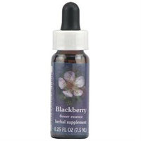 Flower Essence Blackberry Dropper - 0.25 fl oz