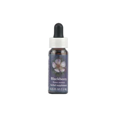 Flower Essence Blackberry Dropper - 0.25 fl oz