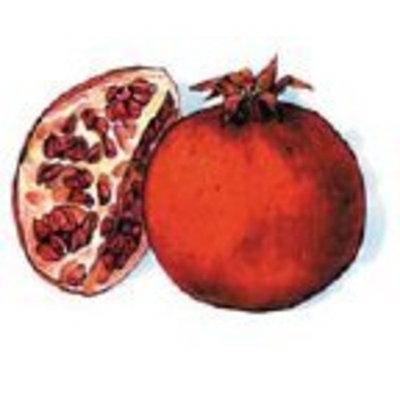 La Tee Da La-Tee-Da Perfectly Pomegranate Fragrance Lamp Oil 16 Oz