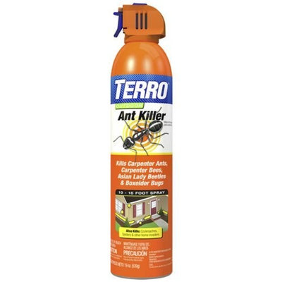 TERRO T1700 19 oz. Outdoor Ant Killer Spray