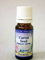 Carrot Seed 10 ml by Amrita Aromatherapy
