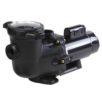 Clearon Corp. Hayward TriStar 1 HP Pool Pump - CLEARON CORP.