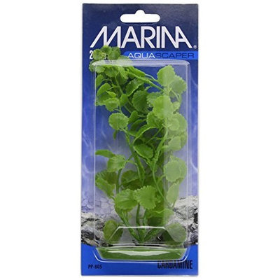 Hagen Aquascaper Cardamine, 8-Inch