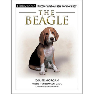 Nylabone Corp Terra Nova The Beagle - Part #: TN103