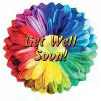 Oh Boy! Oberto GET WELL SOON! RAINBOW FLOWER 24