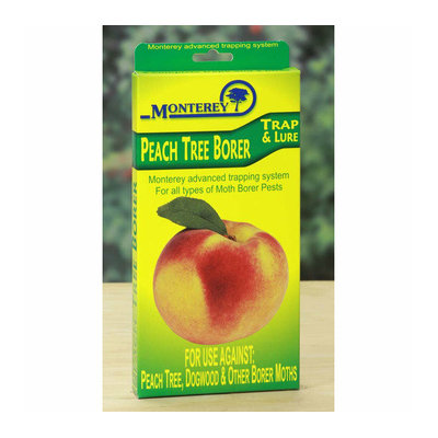 Monterey Peach Tree Borer Trap and Lure