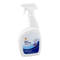 Ahold Chlorine Free Stain Remover Spray Bottle Fresh Scent