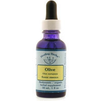 Flower Essence Services (FES) - Healing Herbs English Flower, Olive Dropper, 1 oz