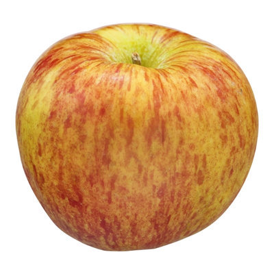 Apples Kiku