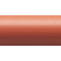 Avon Plumping Beyond Color Lipcolor Lipstick SPF 15 Cantaloupe Beyond Color