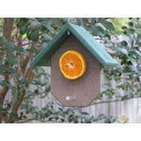 Songbird Essentials Fruit Feeder Hunter Driftwood