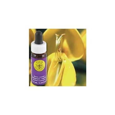 Flower Essence Scotch Broom Essence 7.40 Milliliters