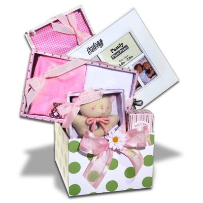 Alder Creek Gifts Girl's Baby Basket
