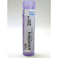 Boiron - Ruta graveolens 200CK 80 plts