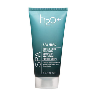 H2O Plus Sea Moss Replenishing Body Wash Travel Size