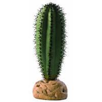 Hagen Exo Terra Terrarium Plant