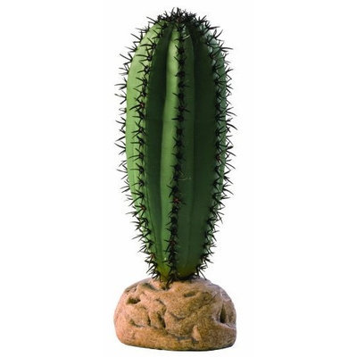 Hagen Exo Terra Terrarium Plant