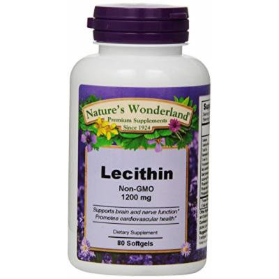 Nature's Wonderland Lecithin Softgels, 1200 mg, 80-Count Bottles (Pack of 4)