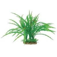 Pure Aquatic Natural Elements Cryptocoryne Combo Aquarium Ornament in Green