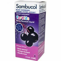 Sambucol Night Time Cold and Flu Elderberry 4 fl oz