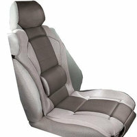 Wagan Corp Wagan Sport Trax Lumbar Cushion