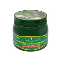 Deity America Tibetan Deep Penetrating Conditioner, 17.6 Ounce