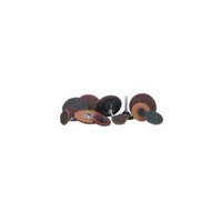 Merit Abrasives 481-64949 3 inch Type 3 Power-Lock Disc Holder Medium