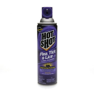 Hot Shot Flea