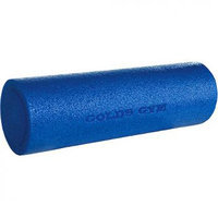 Golds Foam Roller