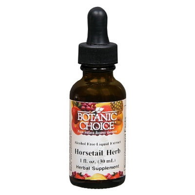 Botanic Choice Horsetail Herb Herbal Supplement Liquid